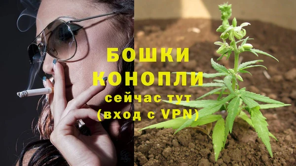 ALPHA PVP Арсеньев