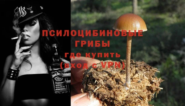 таблы Алзамай